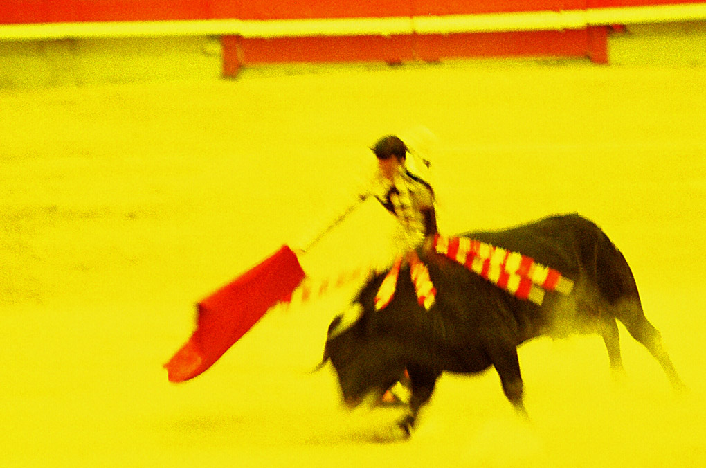 bullfighter, Plaza Monumental, Barcelona, Spain, bull, ride bull, yellow, yellow scene, bull fight, art, red, movement, dynamic, Mercedes Noriega Photography, toro, bull