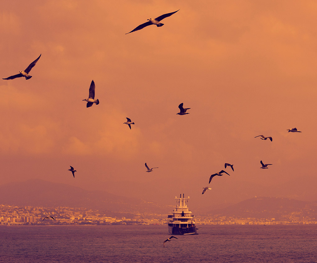 french riviera, Mercedes Noriega, Mercedes Noriega Photography, red, birds, scare, fly, France, boat, purple, sea scene, Antibes