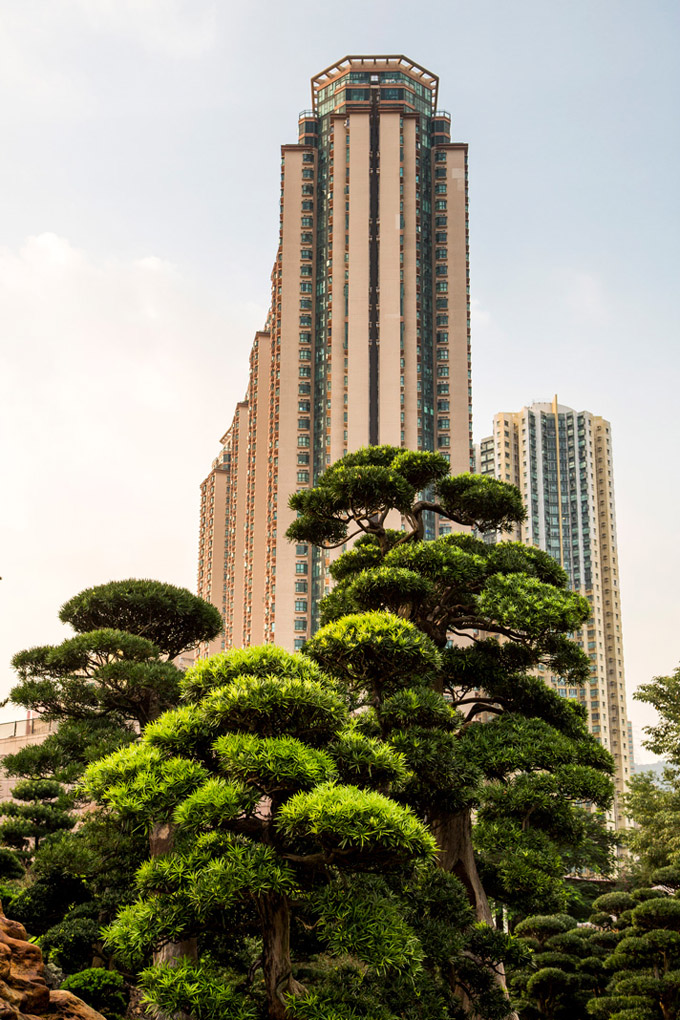 Nan Lian Garden, Kowloon, Hong Kong