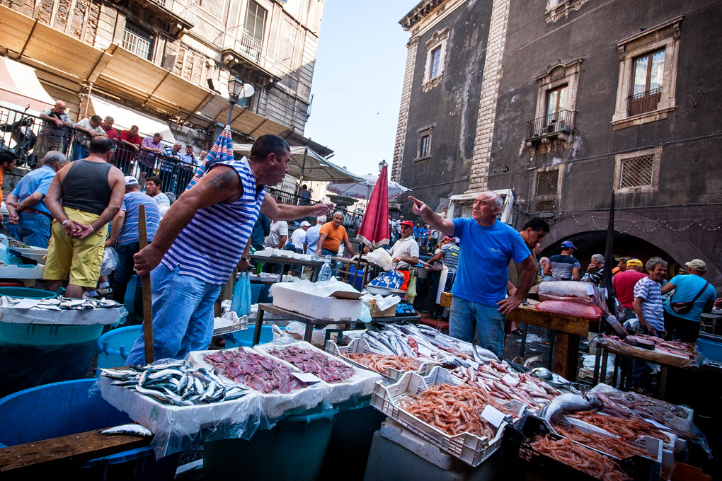 street photography, fish market, fight, fish, italian farmers market, Mercedes Noriega, Mercedes Noriega Photography