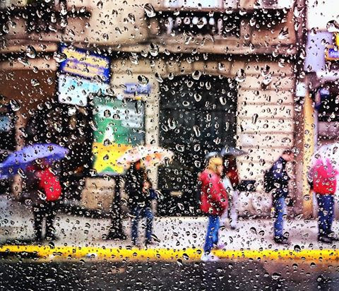 street photography, rain, rain in the city, window, taxi, umbrella, yellow line