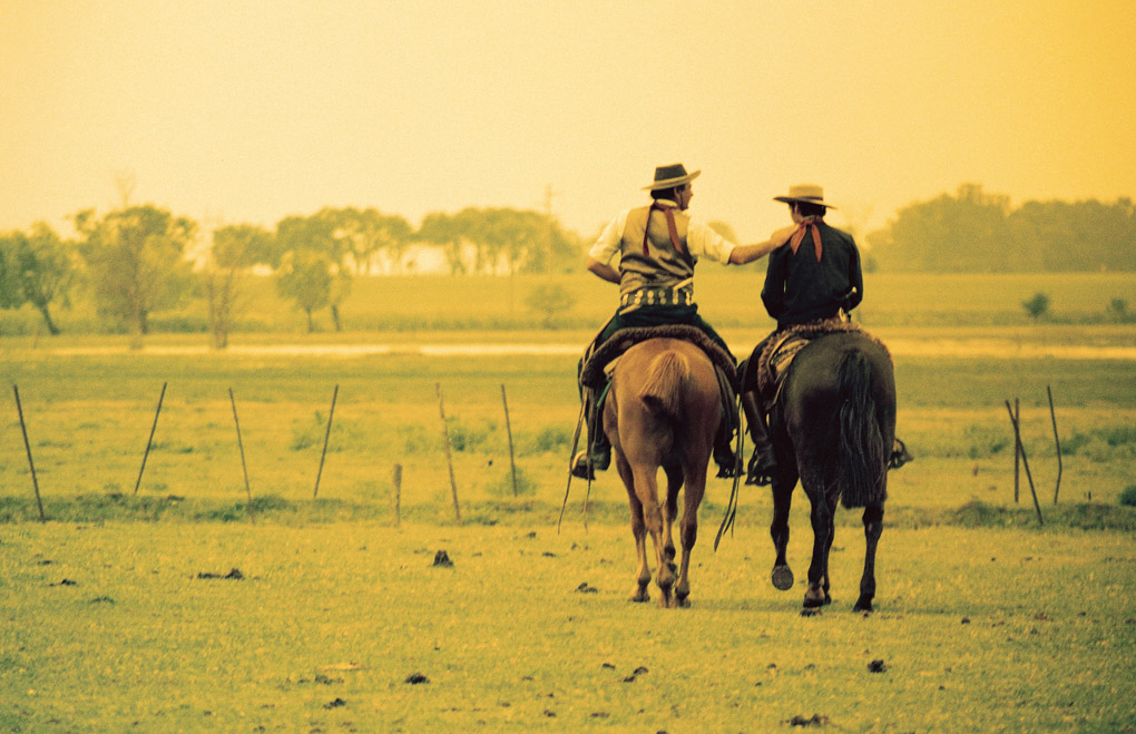 horse, gaucho, hoy ha sido un buen dia, Mercedes Noriega, Mercedes Noriega Photography, father and son, father, horses, landscape, rural, fields, yellow filter, love, bond, union, farm