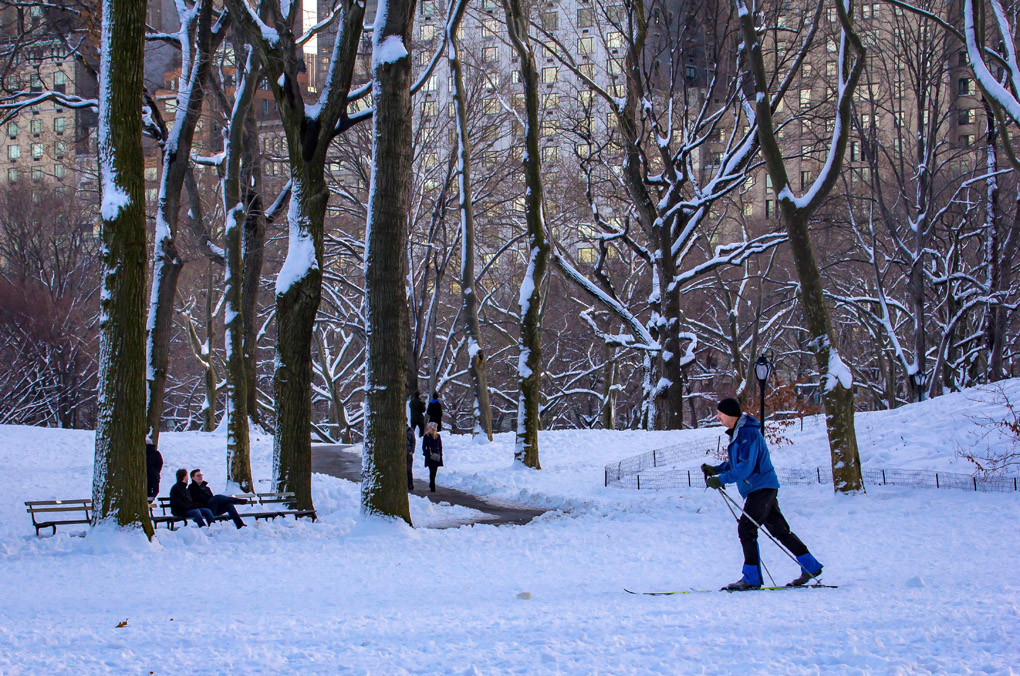 street photography, snow at central park, snow, winter, Mercedes Noriega, Mercedes Noriega Photography