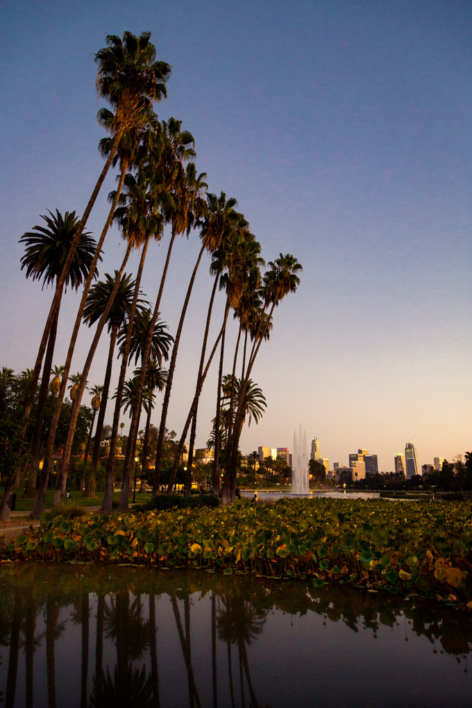 Echo Park Lake fountain, Echo park, fountain, water, lake, artificial lake, sunset, palm trees, pals, city, urban landscape, Los Angeles, California, reflection